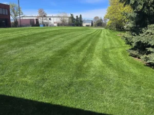 Professional commercial lawn maintenance services in Simcoe County