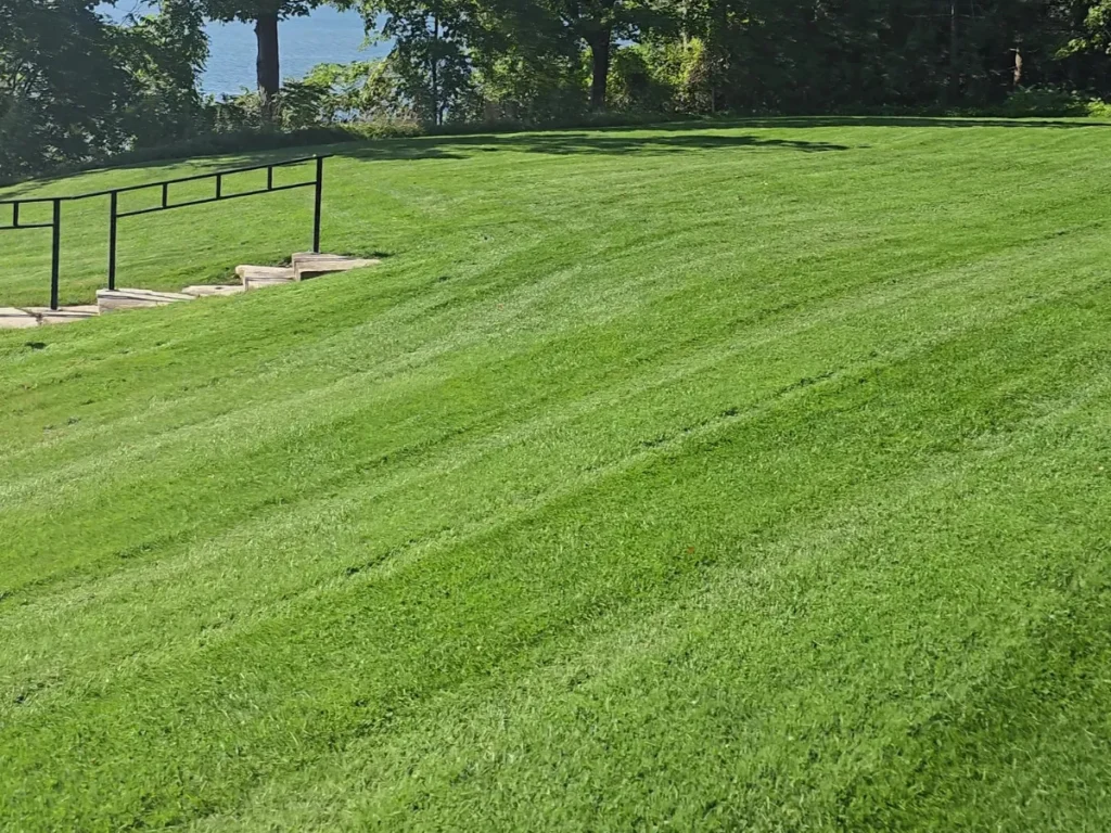 Consistent lawn care and property maintenance in Simcoe County