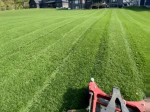 Expert lawn care and property maintenance services in Barrie.